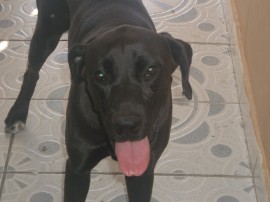 Naty